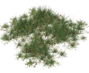 Realistic Game Ready Grass 10