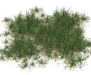 Realistic Game Ready Grass 11
