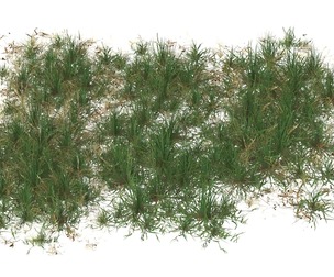 Realistic Game Ready Grass 12