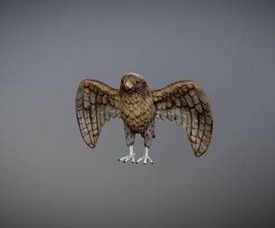 hawk 3d model 3d printable