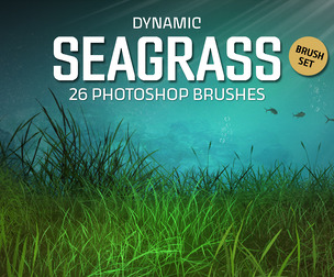 Seagrass Photoshop Brushes