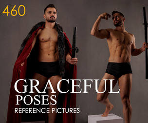 Graceful Poses Photo Reference Pack . 460+ images