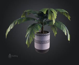 Plant