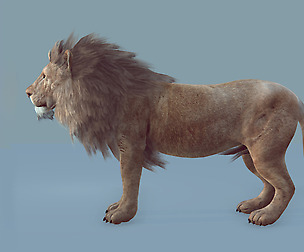 Lion realtime