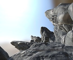 Stylized PBS Rock Pack