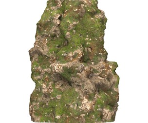 Realistic Mountain Cliff 08
