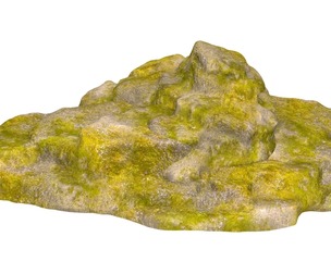 Moss Stone Rock 02