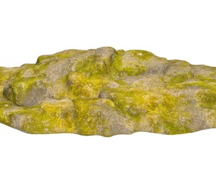 Moss Stone Rock 05