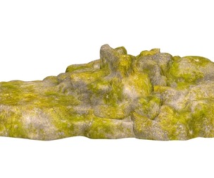 Moss Stone Rock 08
