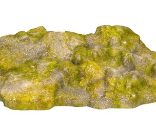 Moss Stone Rock 09