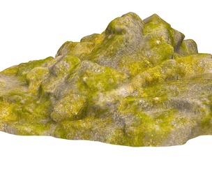 Moss Stone Rock 12