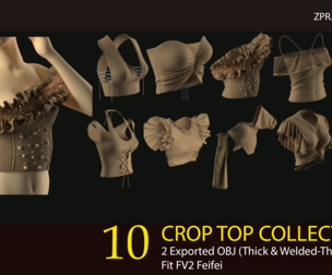 10 Crop Top Pack (Vol 01). ZPRJ+OBJ+FBX