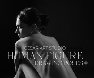 400+ Female Poses - vol 1