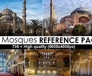 Mosques Reference Photos Pack