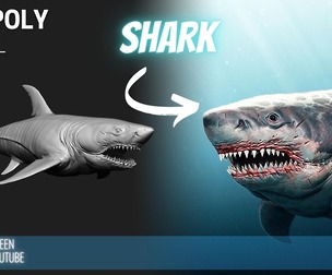 Shark High Poly ZTL & FBX