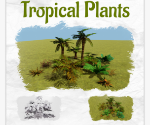 Tropical plants