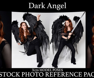 Dark Angel - Stock Model Reference Pack