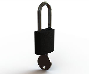 Solid Black Essential Padlock