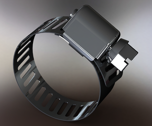 Hose Clamps 1 In
