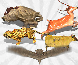 2D Animated Animals