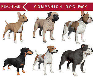 Companion Dog Pack