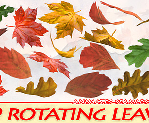 2D LEAVES
