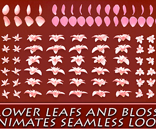 FLOWER LEAFS AND BLOSSOMS