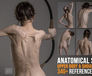 340+ Upper Body and Shoulder Girdle