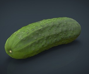 Cucumber