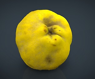 Grapefruit