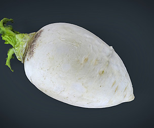 Turnip