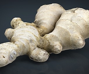 Ginger