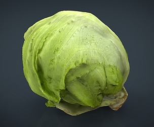 Iceberg Lettuce