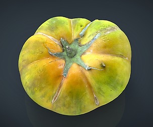 TOMATO 1