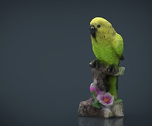 Green Parrot