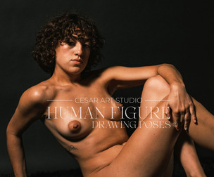 300 + Female Figure - Vol 1