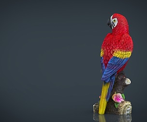 Red Parrot