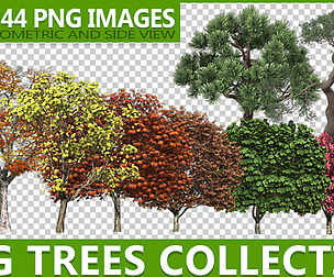 PNG TREES COLLECTION