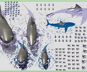 Shark