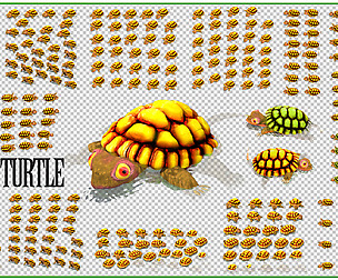 Turtle
