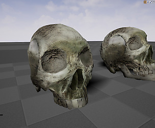 Blitz Crime Scene Skull