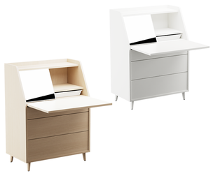 Cabinet 18