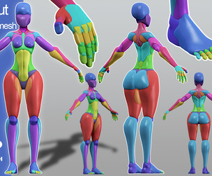 stylized anatomy Basemesh blockout 001