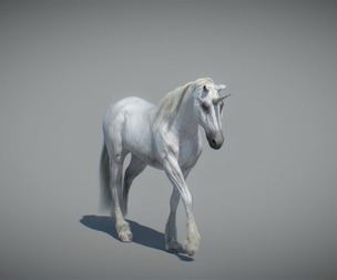 Animated Unicorn