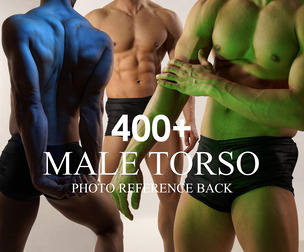 400+ Male Torso Reference Pictures .