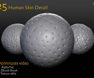 25 HUMAN SKIN DETAIL-VOL1 + VIDEO