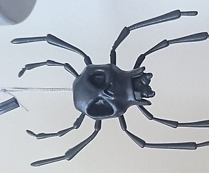 Skulltula