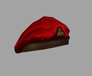 Beret