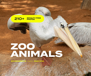 EP50 / Zoo Animals — photo reference pack