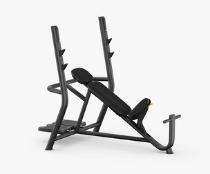 Technogym Element Inclinded Bench